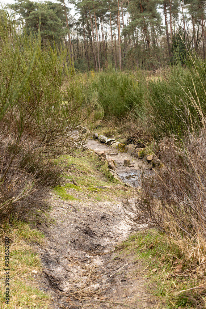 North Moor Elspeet Netherlands
North Moor Elspeet Netherlands