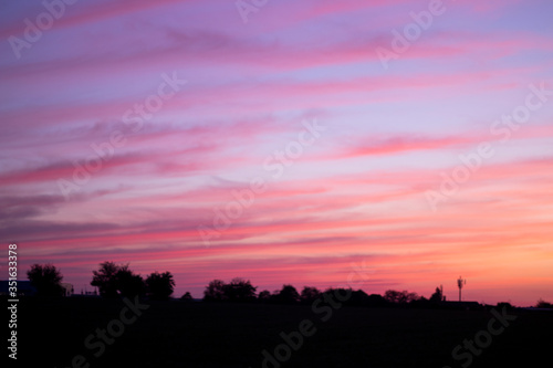 Pink sunset