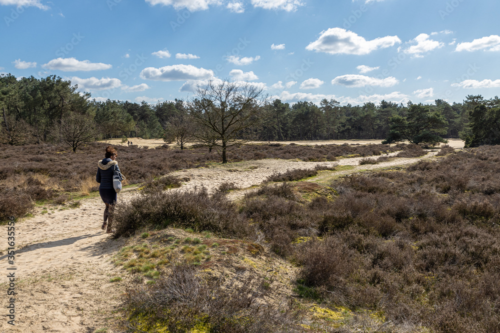 Dutch desert in Oisterwijk