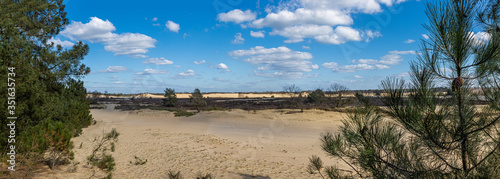 Dutch desert in Oisterwijk