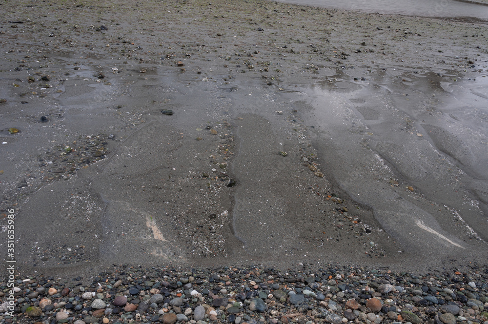 Obraz premium Close look at coast after tide in Picnic Point area, WA, USA