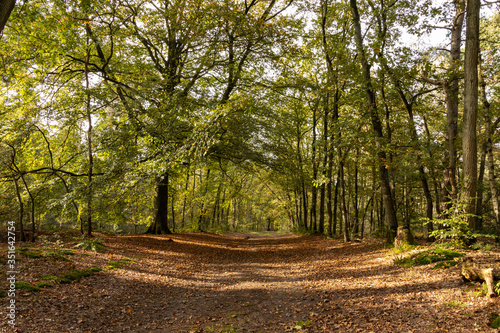 Zoomland Bergen Op Zoom