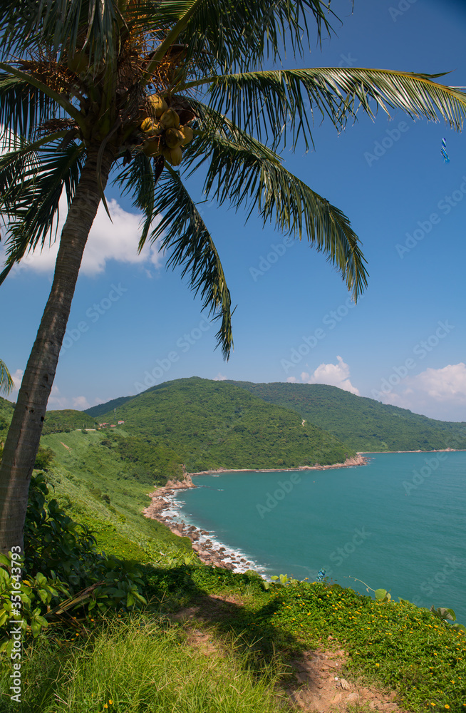 da nang vietnam 21.10.19 vacation destination perfect view of palm trees view point of the sea