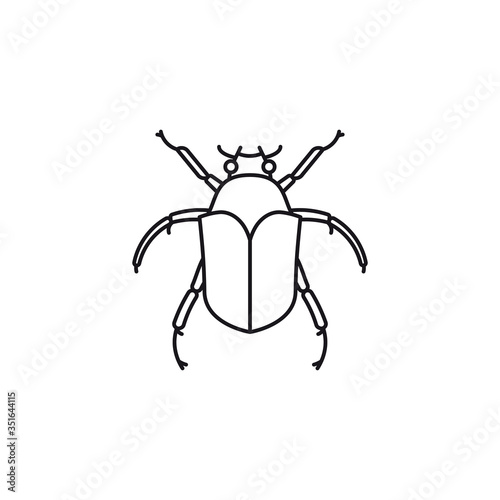 June bug or beetle vector line icon