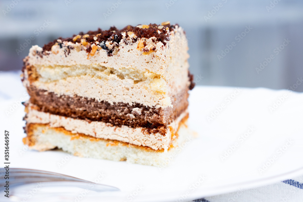 Slice of chocolate cake. Piece of Cake on a Plate. Sweet food, close up