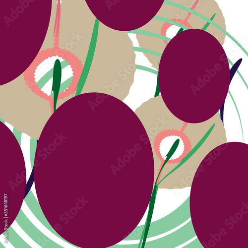 Abstract flowers, Calla lilies, marsh flowers - background