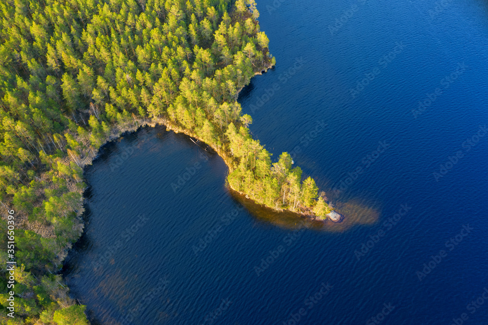 Beautiful coastal area of the lake in a pine summer forest. Aerial view.