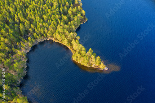 Fototapeta Naklejka Na Ścianę i Meble -  Beautiful coastal area of the lake in a pine summer forest. Aerial view.