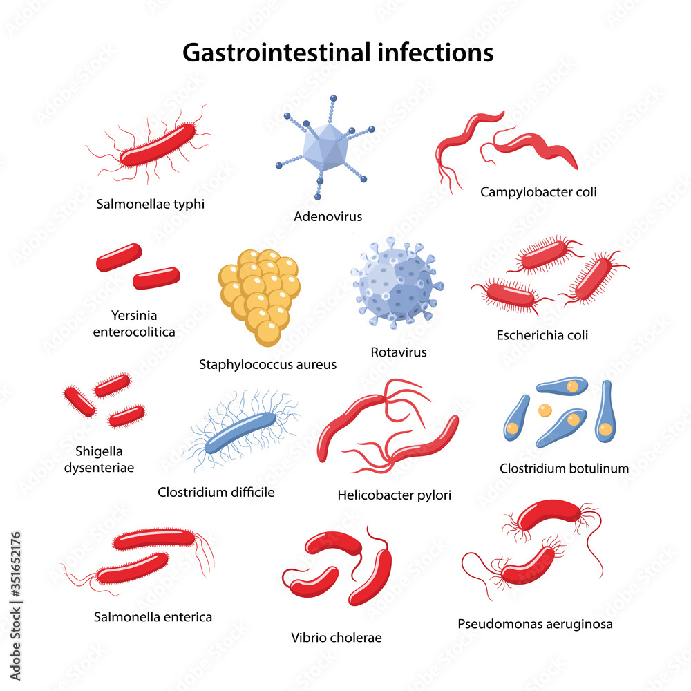 Set of bacteria and viruses that cause main gastrointestinal infections