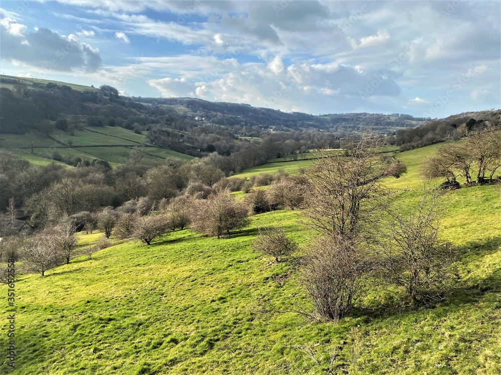 Landscape view of Shibden Valley, with flowery meadows, green fields, and old trees, set against a cloudy sky, in early spring in, Shibden Valley, Halifax, Yorkshire, England