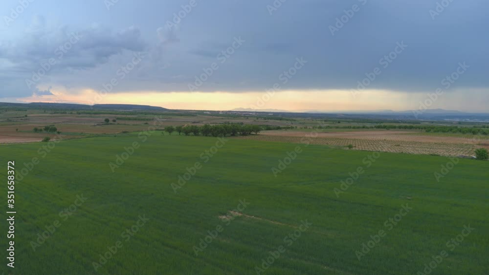 aerial view over green wheat fields and cloudy sky. flight of drones aerial view over green wheat fields and cloudy sky. flight of drones