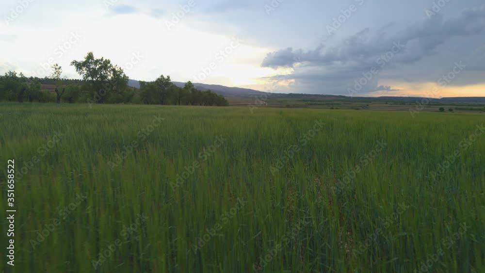 aerial view over green wheat fields and cloudy sky. flight of drones aerial view over green wheat fields and cloudy sky. flight of drones