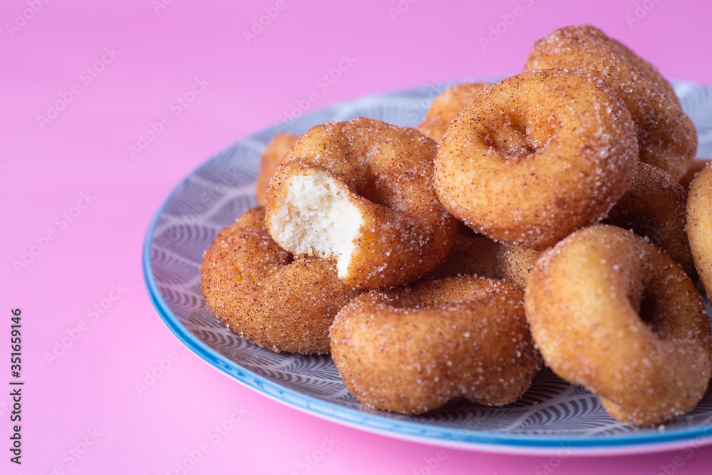 Cinnamon Sugar Mini Donuts on a plate with bite eaten