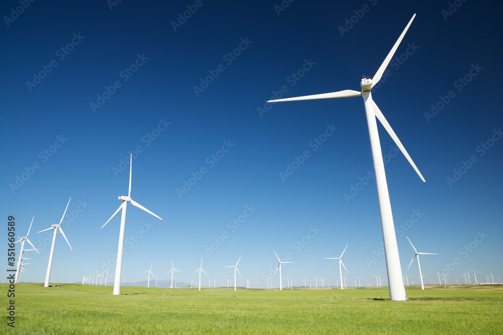 Fototapeta premium Renewable energy concept