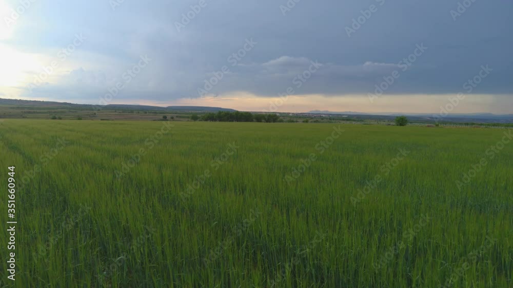 aerial view over green wheat fields and cloudy sky. flight of drones aerial view over green wheat fields and cloudy sky. flight of drones