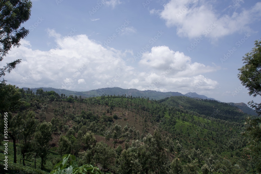 Tea garden with blue sky Tea garden with blue sky
