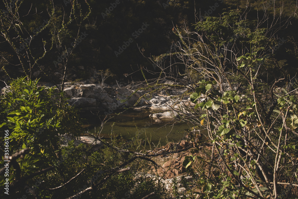 Obraz premium Beautiful Nature View Scene of 