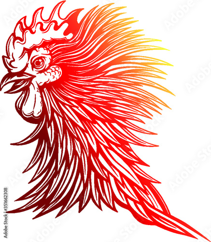 Vector Red Gradient Rooster Head Illustration