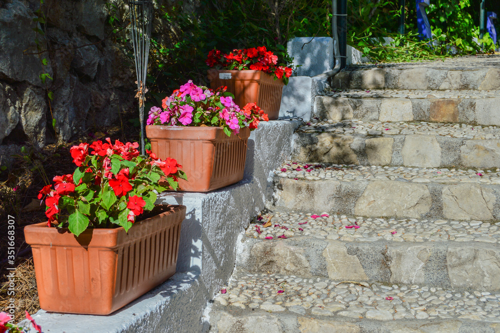 steps with  clay planters with colored petunias in Granada city. Spain