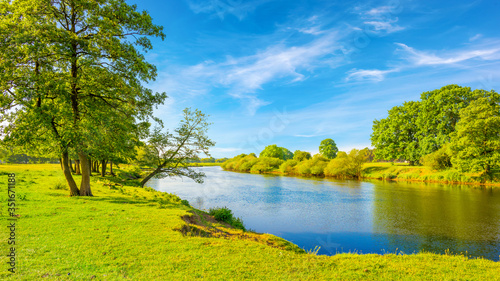Summer landscape with trees  meadows and river