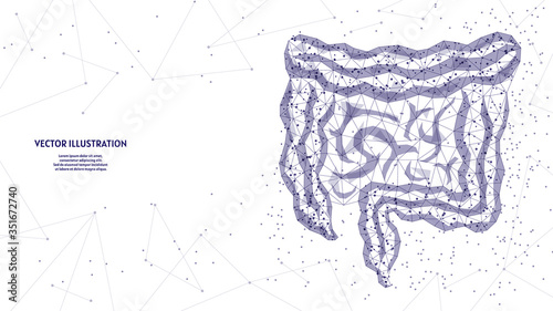 Human intestines close up. Internal organs. Anatomy of the internal organ. Digestive and gastric tract. Innovative medicine and technology. 3d low poly wireframe vector illustration.