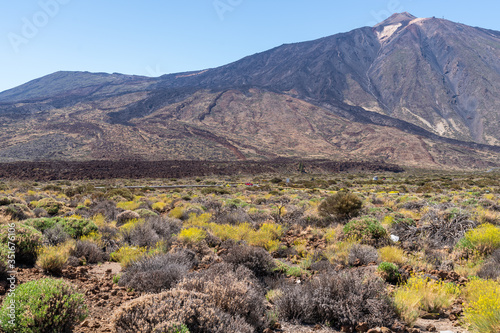 Panoramic view of shrub field before arid valley at Mount Teide, Tenerife