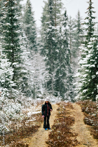 Snow in Spring