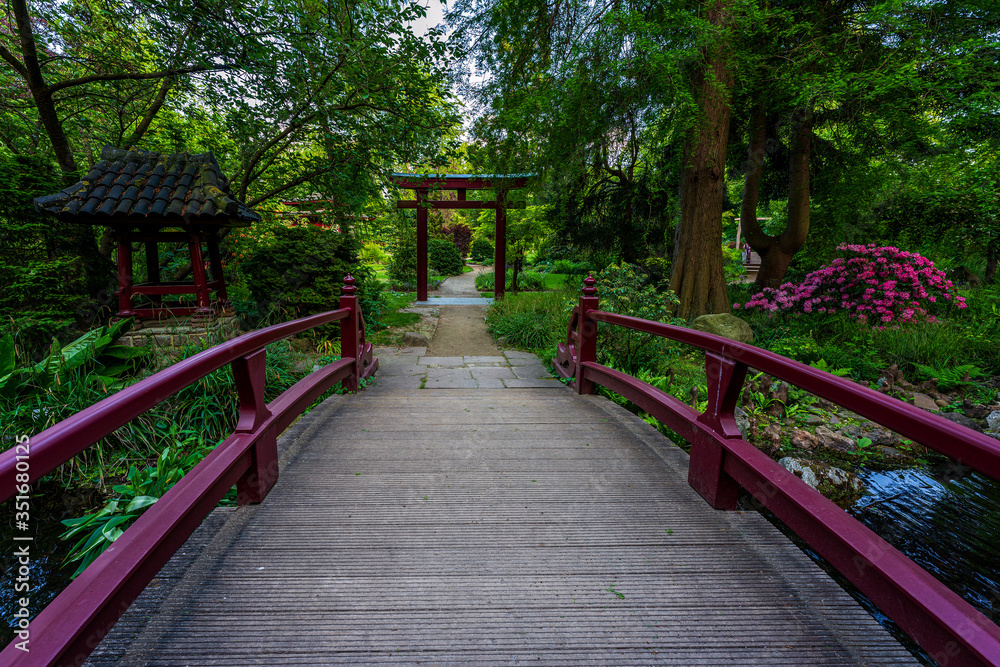 Japanese garden in Leverkusen, Germany. Japanese garden in Leverkusen, Germany.