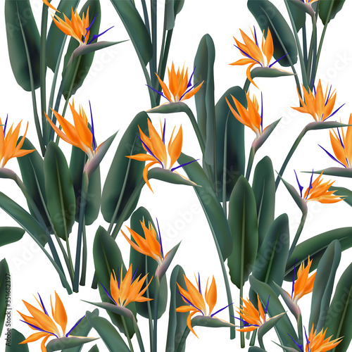 Bird of paradise tropical flower vector seamless pattern.