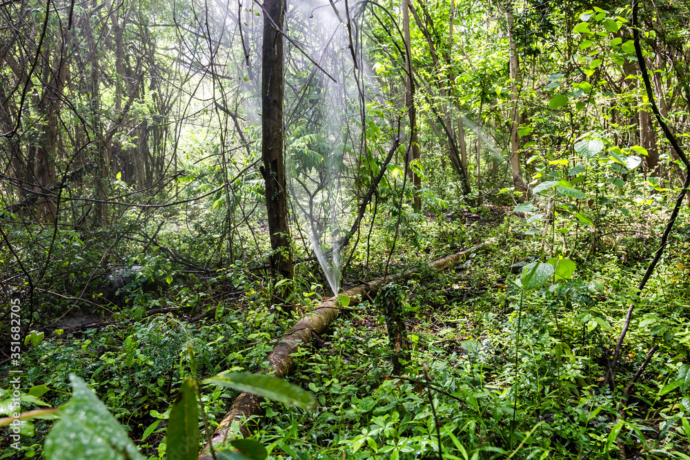 dramatic image of irrigation line high on a farm in the caribbean mountains of the dominican republic.