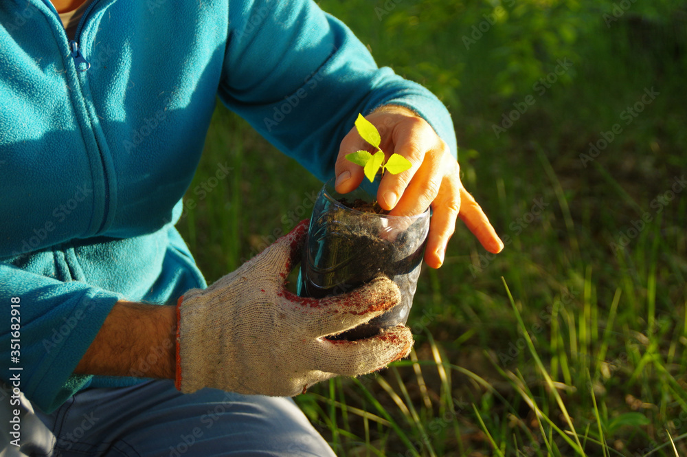 Organic plant cultivation and natural environment care Organic plant cultivation and natural environment care