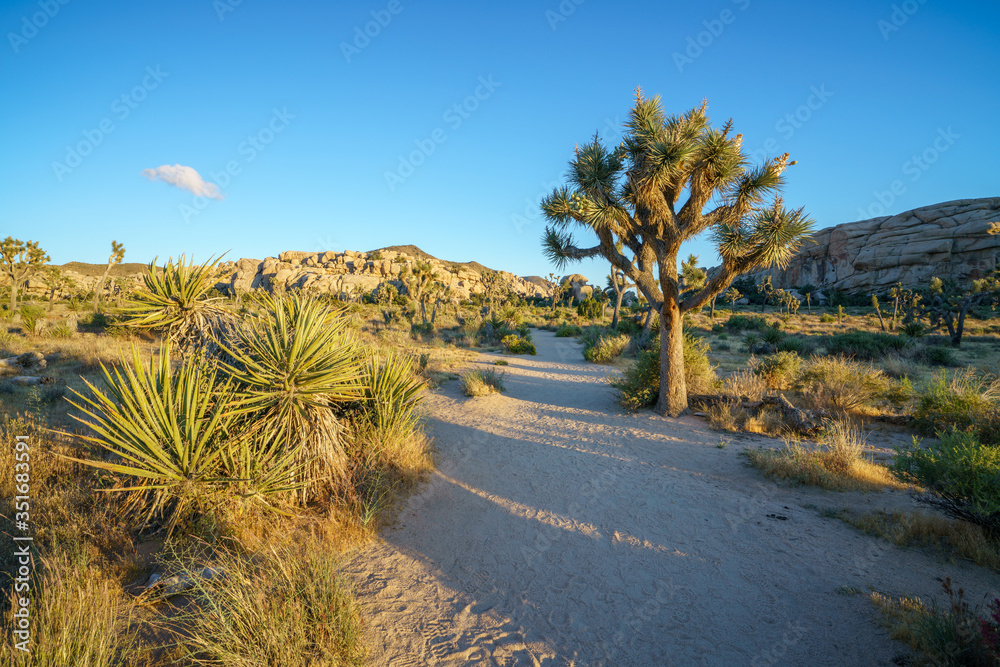 hiking the barker dam nature trail in joshua tree national park, california, usa hiking the barker dam nature trail in joshua tree national park, california, usa