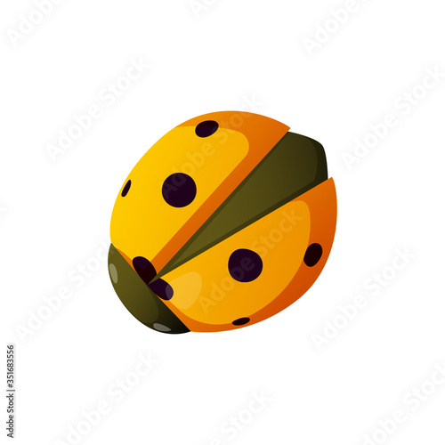 Cute yellow ladybug insect isolated on white.