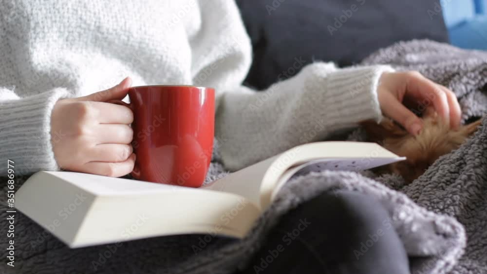 Relaxed woman sitting on sofa holding a mug reading a book and petting the dog covered in a warm blanket Relaxed woman sitting on sofa holding a mug reading a book and petting the dog covered in a warm blanket