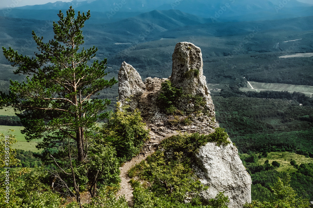 close-up old rock covered with trees on a summer sunny day