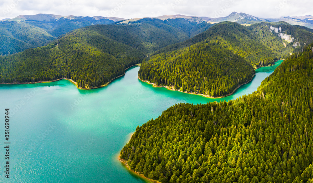 Turquoise water in a mountain forest lake with pine trees. Aerial view ...