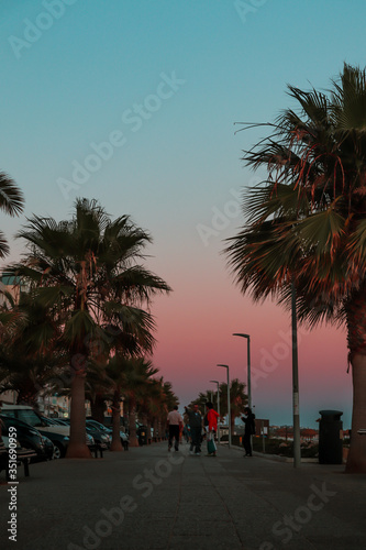 Pink and Blue Sunset near Beach - Vertical