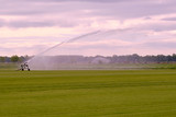 Farmers irrigate fields because of the drought, crops waiting for the rain to come. Drenthe, the Netherlands.