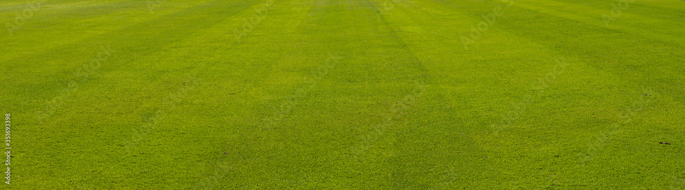 green grass with pattern from a soccer field green grass with pattern from a soccer field