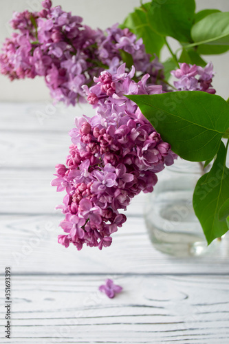 Blooming lilac with green leaves on a white background. Vertical orientation.