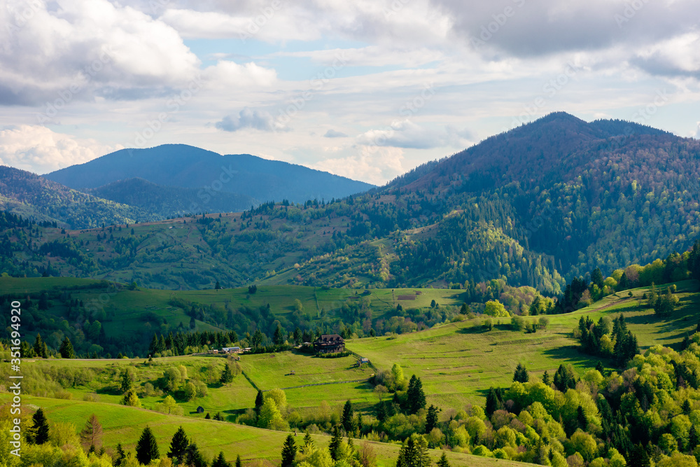 Naklejka premium green fields rural landscape. beautiful countryside nature in spring. scenic view of meadow in grass. peaceful nature scenery. hills rolling in to the distant mountain