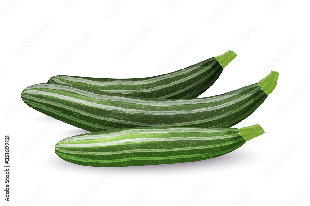 Three zucchini isolated on a white background. Fresh vegetables isolated on a white background. Vector illustration. Three zucchini isolated on a white background. Fresh vegetables isolated on a white background. Vector illustration.