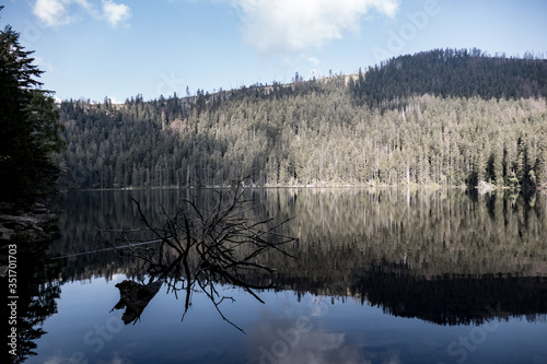 natural lake in a protected area of national park sumava in czech republic photo