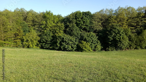 Field and Forest