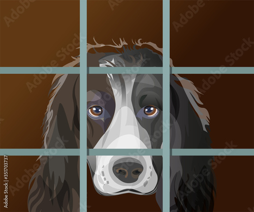Lonely dog with sad eyes behind bars
