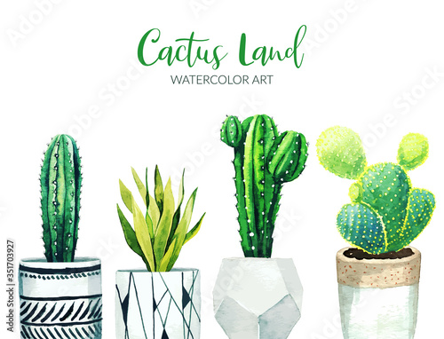 Potted cactus plants, hand drawn watercolor illustration