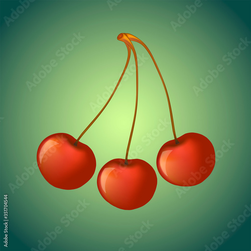3 cherries on a green background. Ripe cherry vector