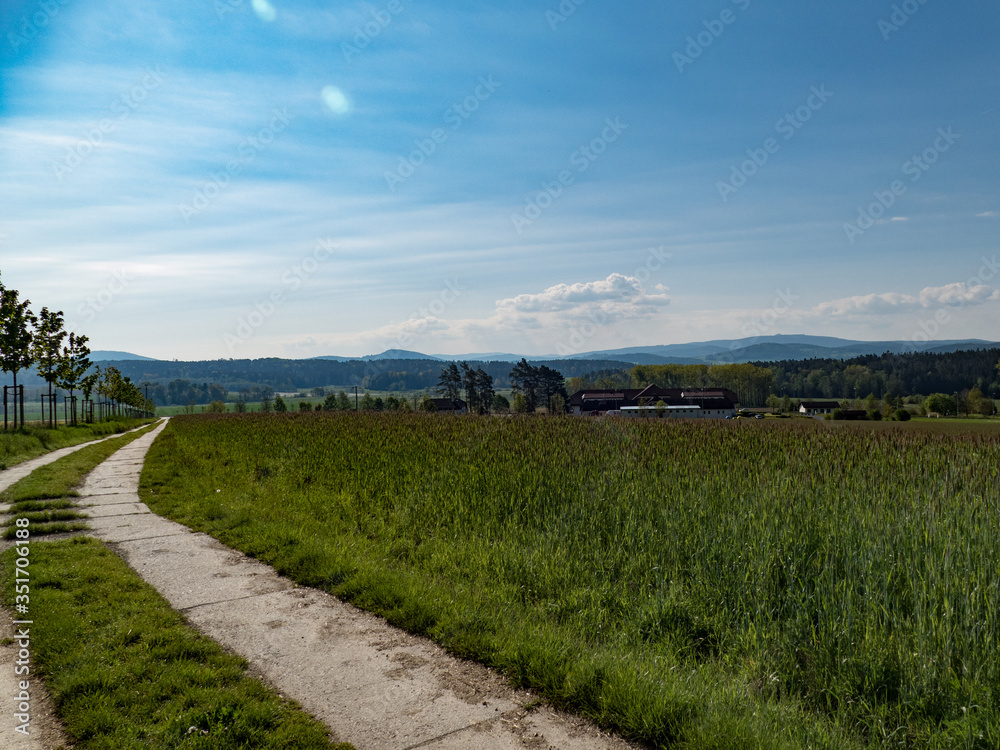 natural landscape in the national park sumava in czech republic