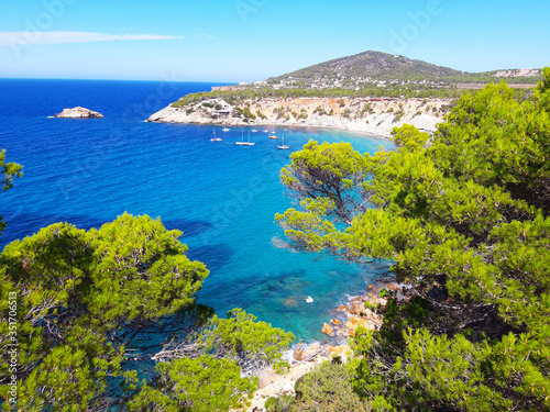 bright colors of the wild nature of the bay of Cala d'hort in ibiza in summer
