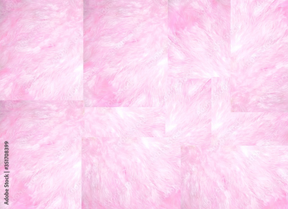 pink background with feathers pink background with feathers